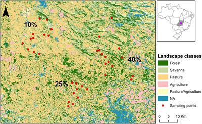 Habitat Specificity Modulates the Response of Small Mammals to Habitat Fragmentation, Loss, and Quality in a Neotropical Savanna